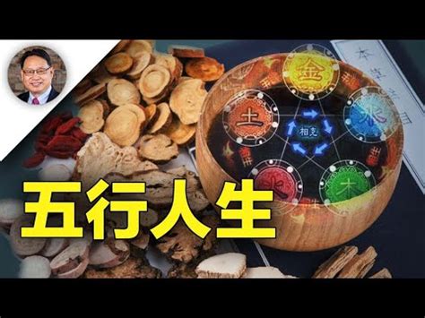 飲食業五行|八字的五行與行業的關係